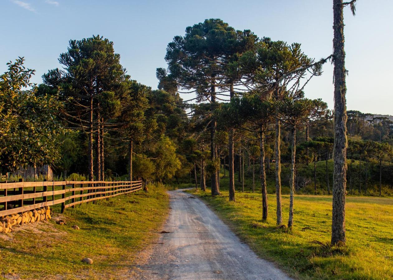 招待所 Rural Recanto Do Riacho Urubici